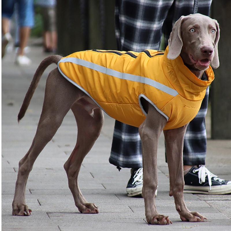 ต่ำ MOQ ค่าใช้จ่ายราคาไม่แพงรุ่นคลาสสิกสุนัขเสื้อกันฝนเสื้อผ้าสุนัข